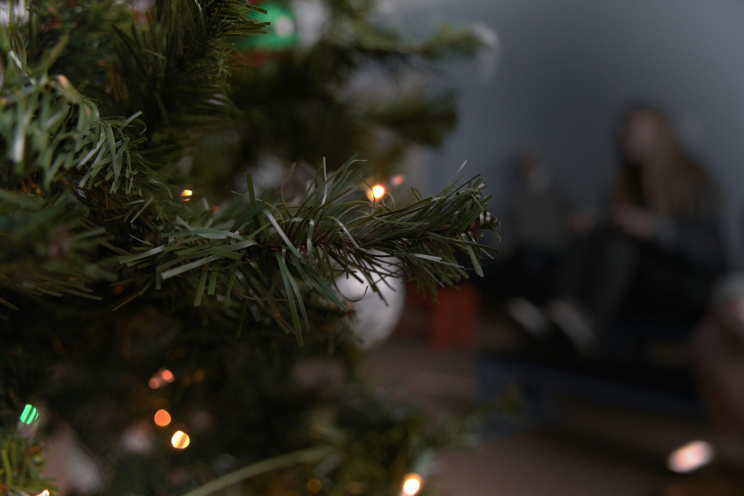 donovan-dean-photography-QJurJ9seuSI-unsplash