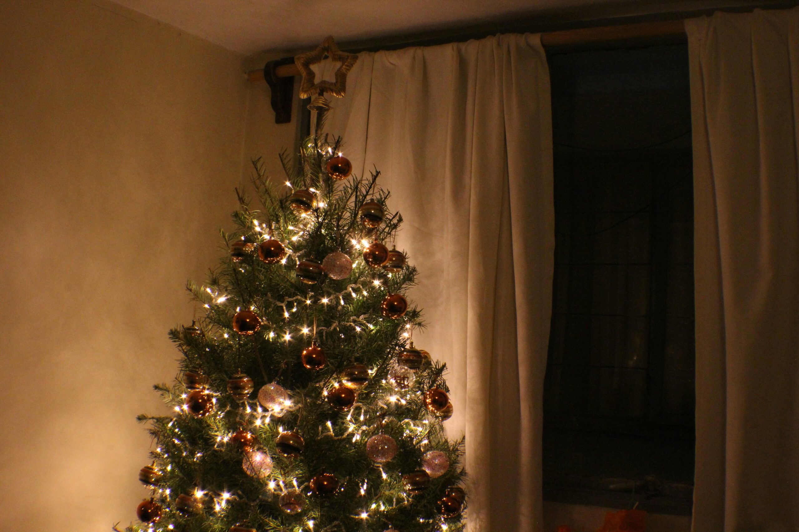 jose-g-ortega-castro-OD8rv3yikrs-unsplash